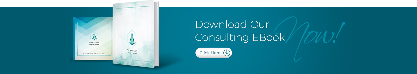 Download Our Consulting EBook